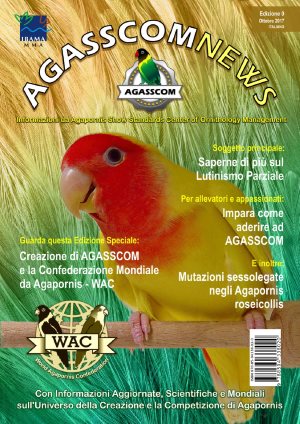 AGASSCOM News #0 (Italiano)