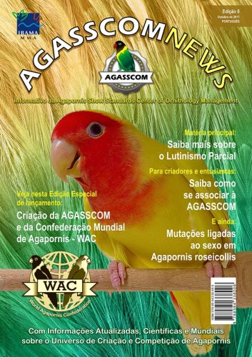 AGASSCOM News nº0 (Português)